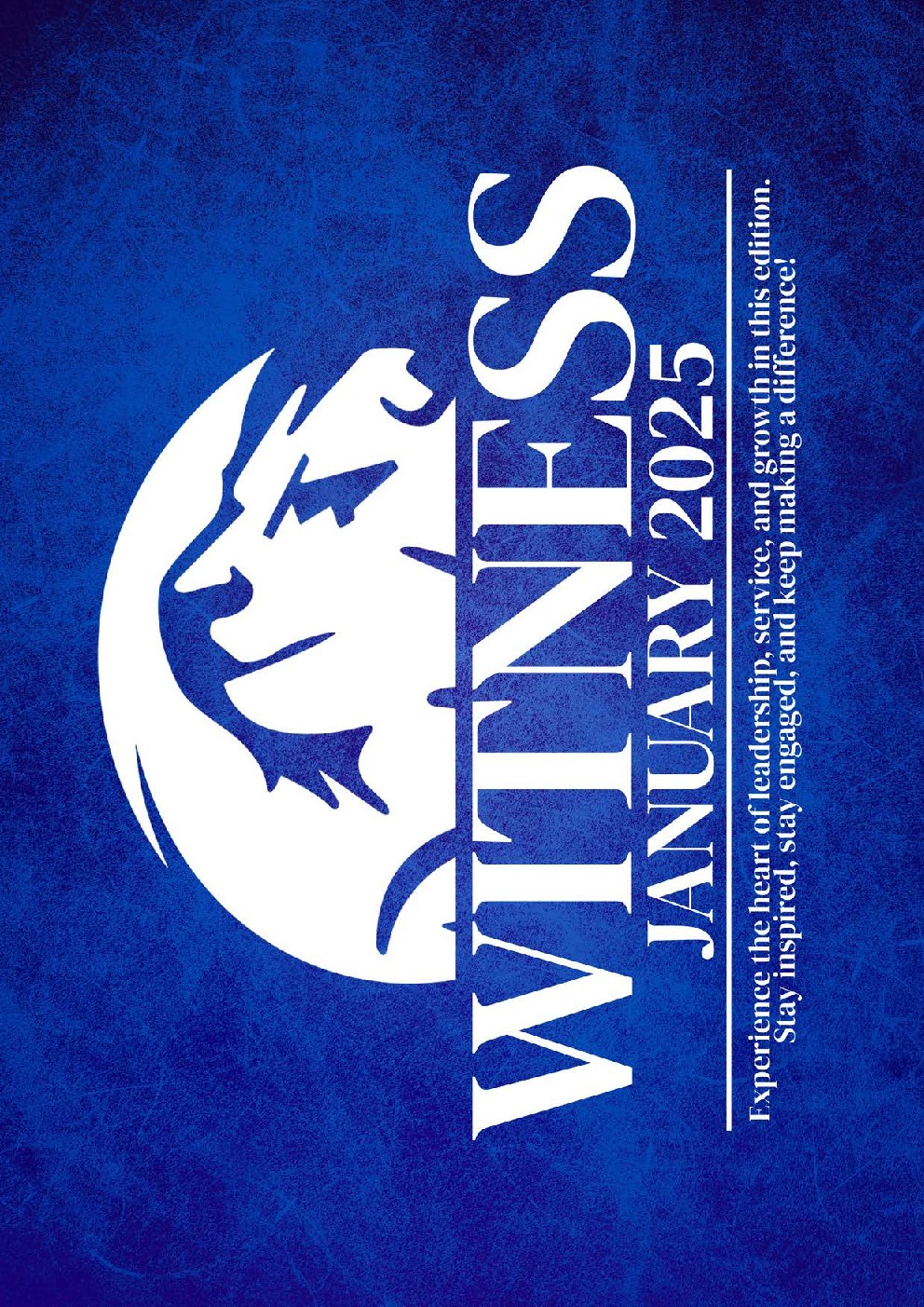 Witness, January 2025 preview
